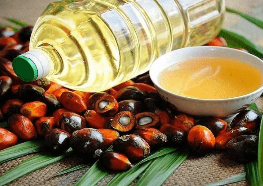 Palm Oil