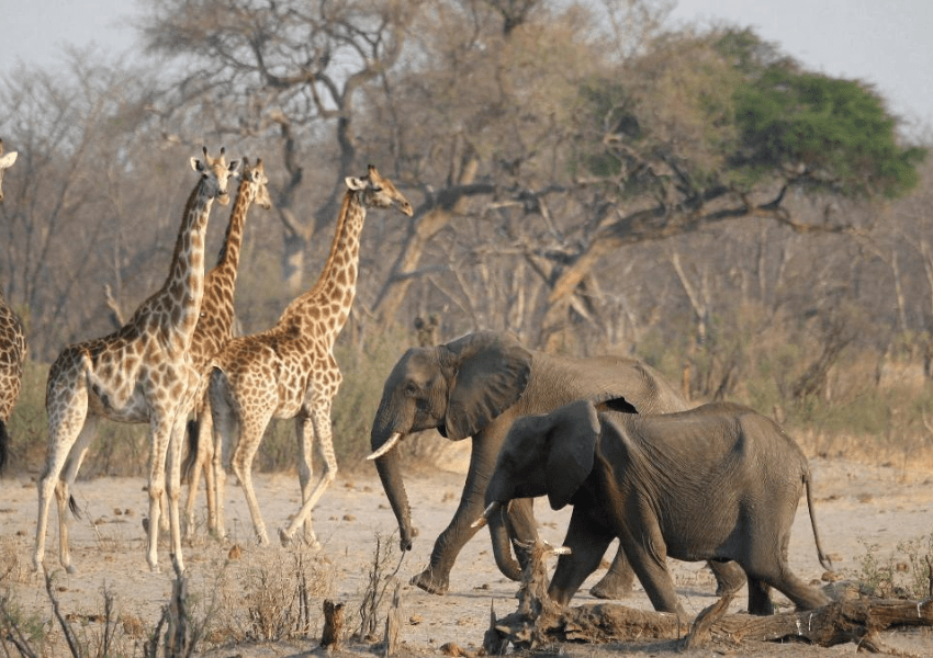 Namibia