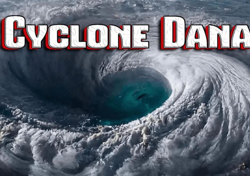 Dana Cyclone