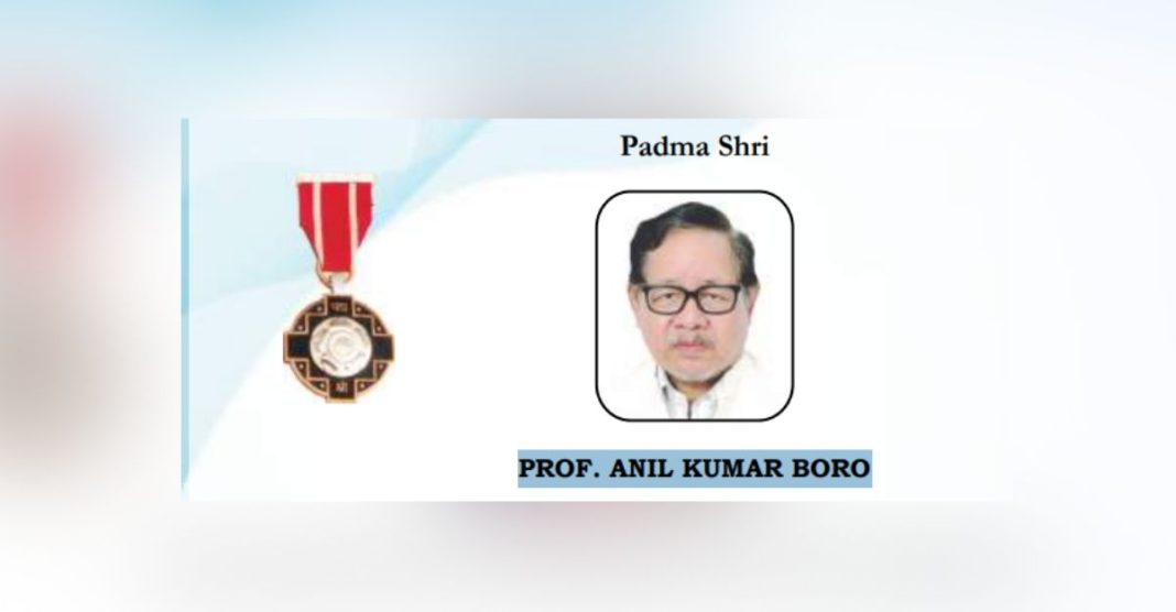 PROF. ANIL KUMAR BORO