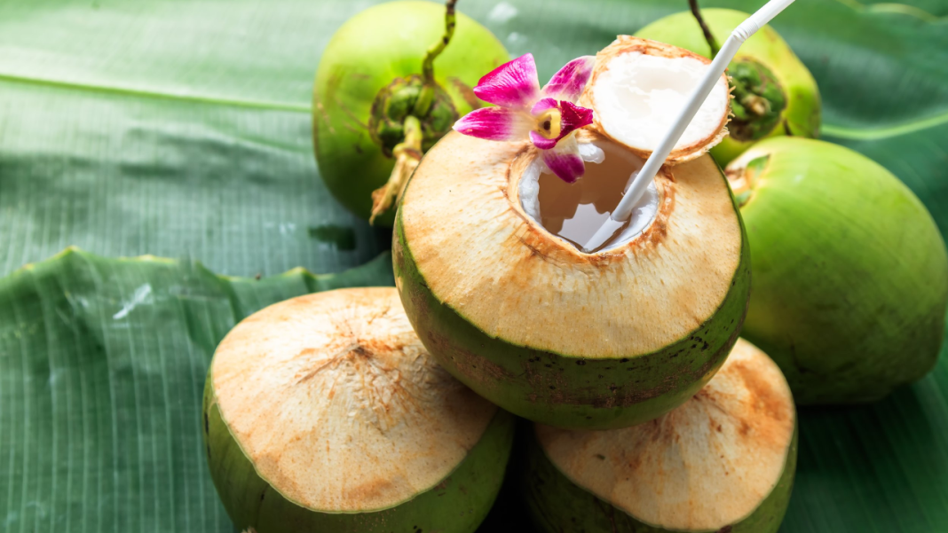 Sugar level in coconut water