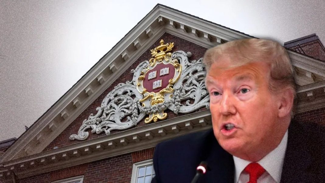 harvard