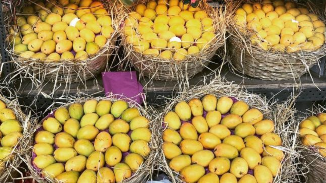 Mango return: