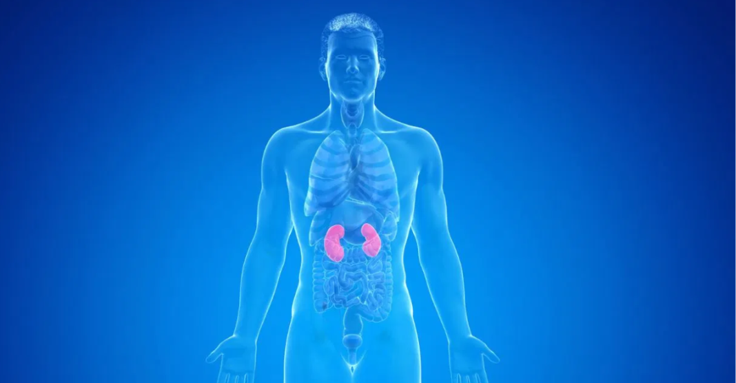Kidney Failure Symptoms