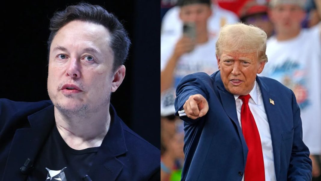 musk and trump