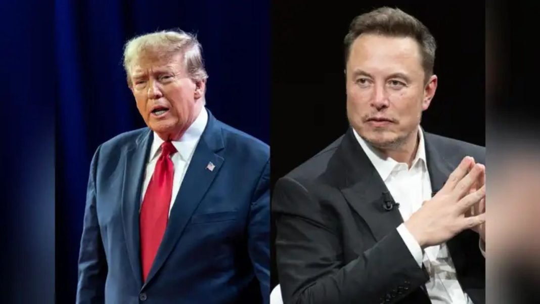 trump and musk