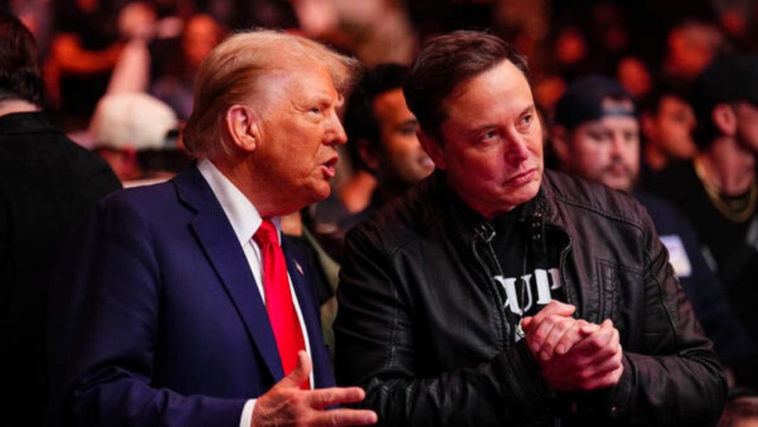 trump and musk