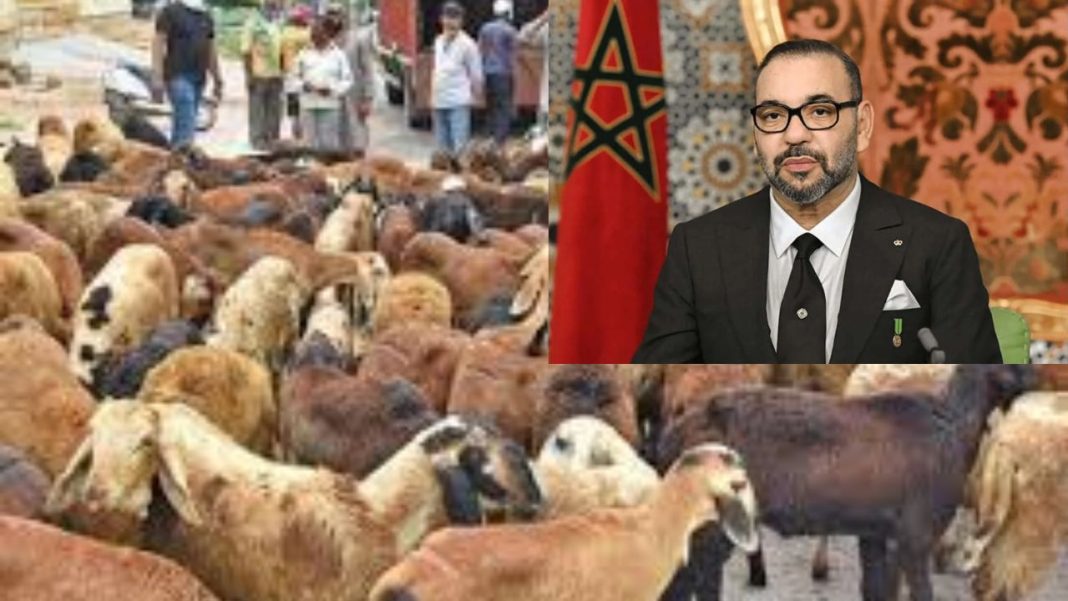 Morocco: