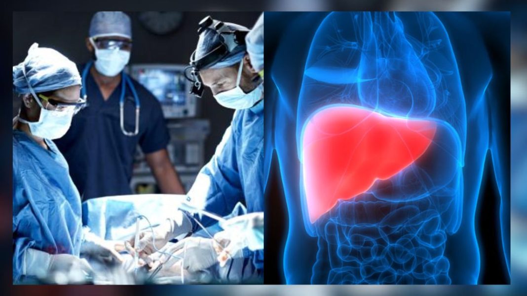 Liver
