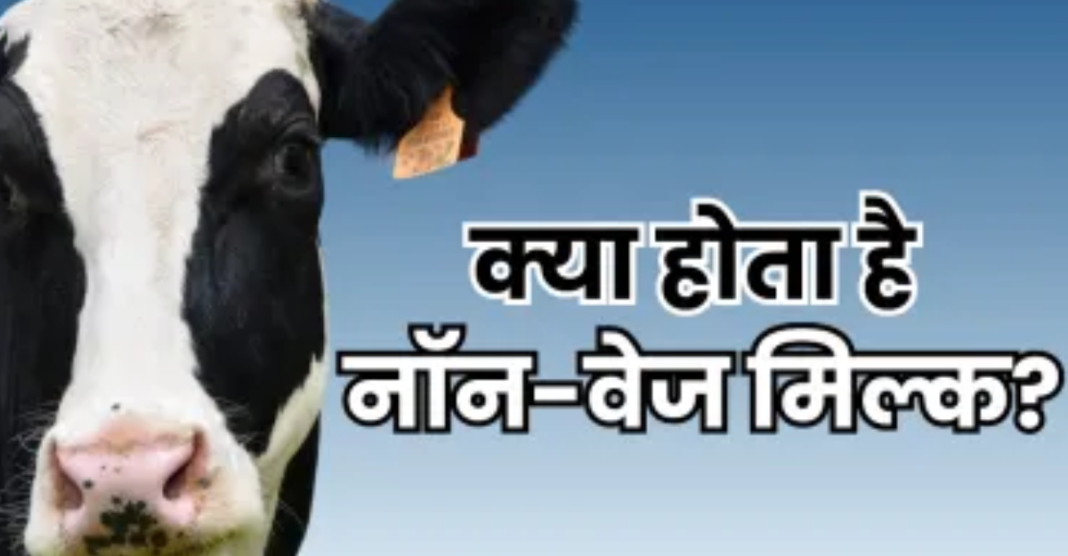 Non-Veg Milk Concept