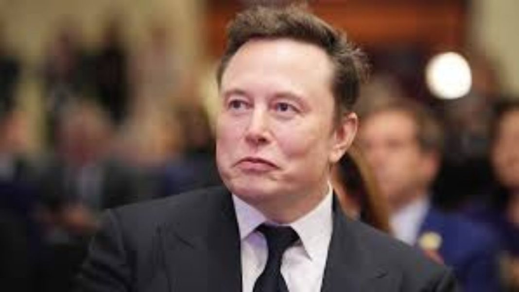 Elon Musk Political Party: