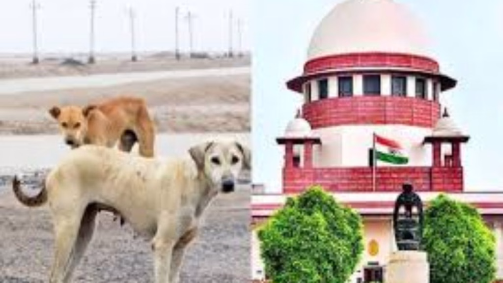आवारा कुत्ते और वैक्सीन माफिया का गंदा खेल: भारत की नीतियों को तोड़ने के लिए विदेशी टूलकिट और अरबों डॉलर की साजिश 2 SUPREME COURT ON DOGS