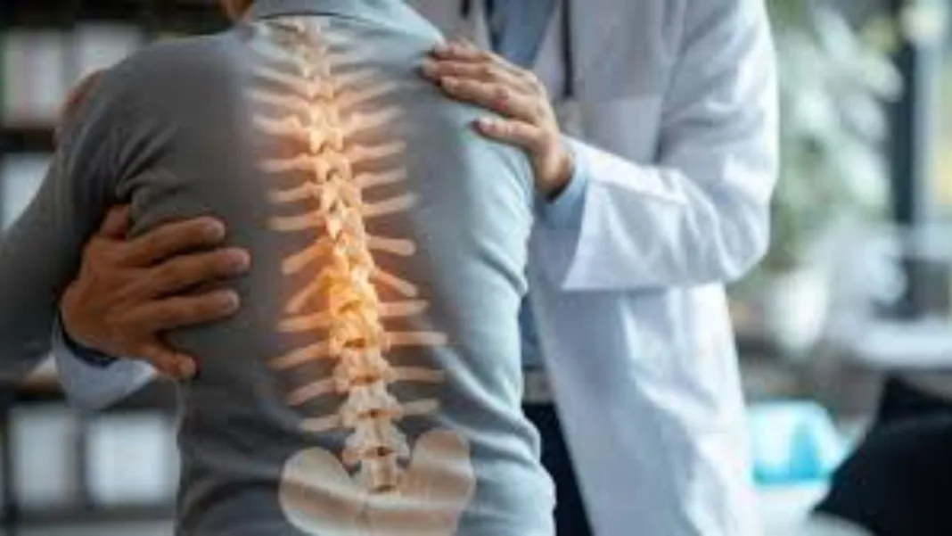 वर्ल्ड स्पाइन डे