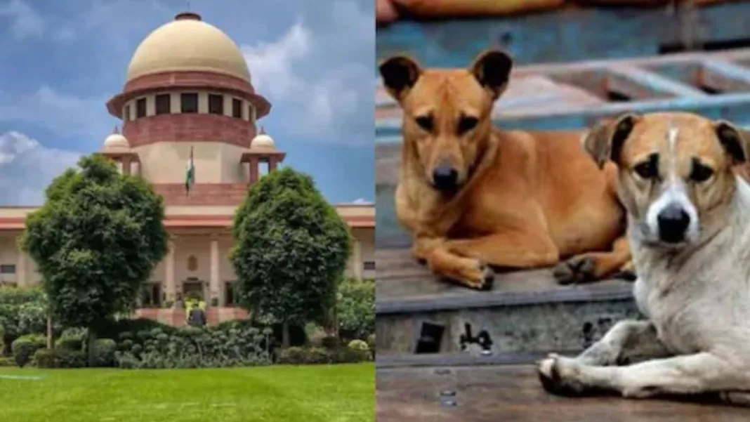 stray dogs case supreme court October 2025. jpg
