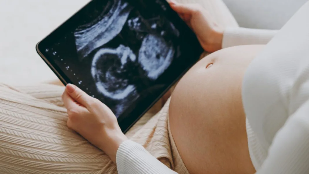 IVF november 2025.jpg