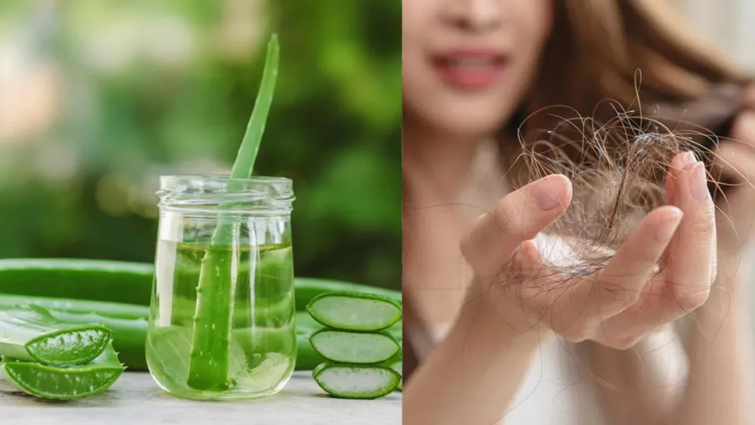 Beauty Tips for Winters December 2025.jpg