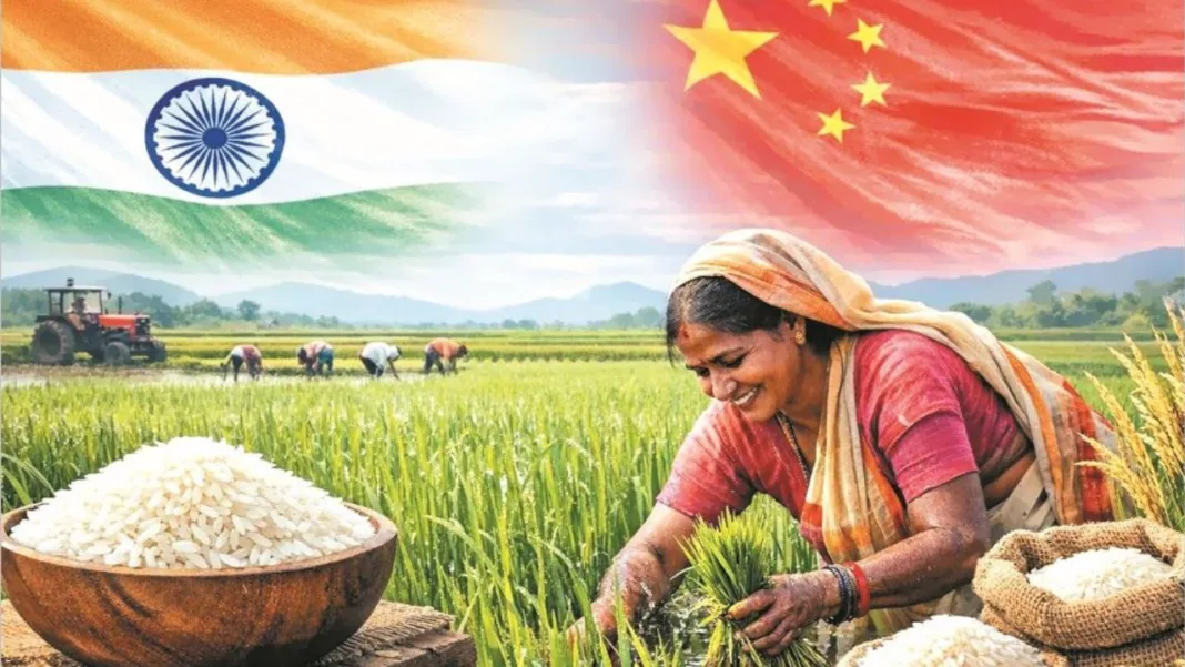 india largest Producer of rice january 2026.jpg