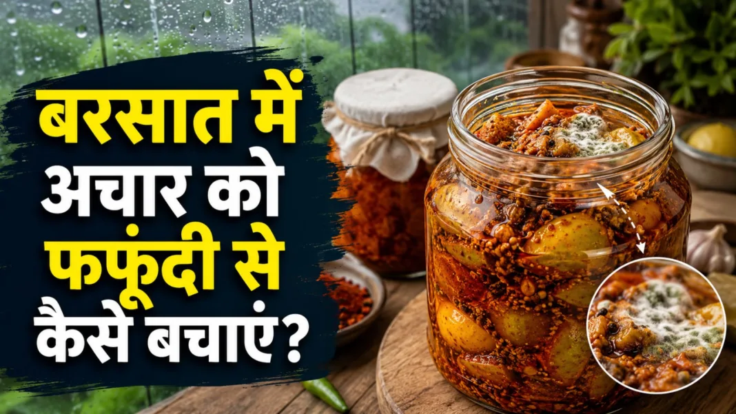Best pickle storage tips